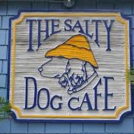 SaltyDog