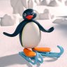 pingu