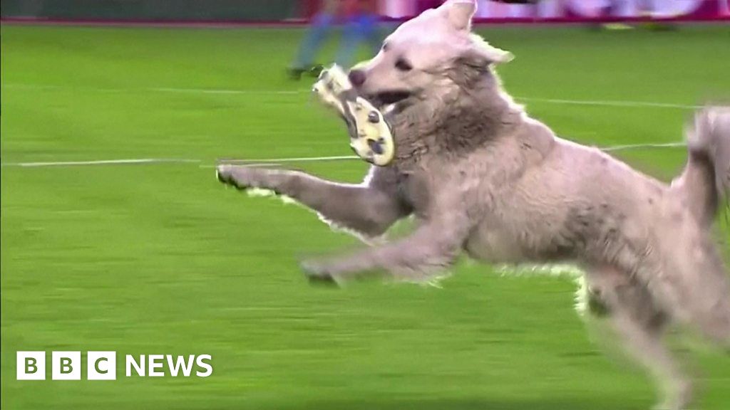 www.bbc.com