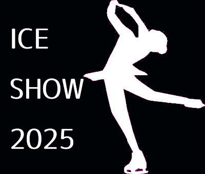 figureskatejapan.com