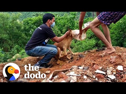 www.youtube.com