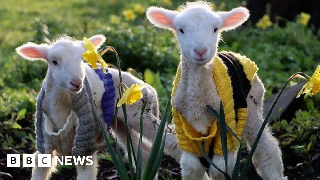 www.bbc.com
