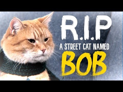 www.youtube.com