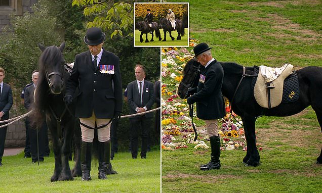www.dailymail.co.uk