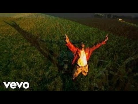 www.youtube.com