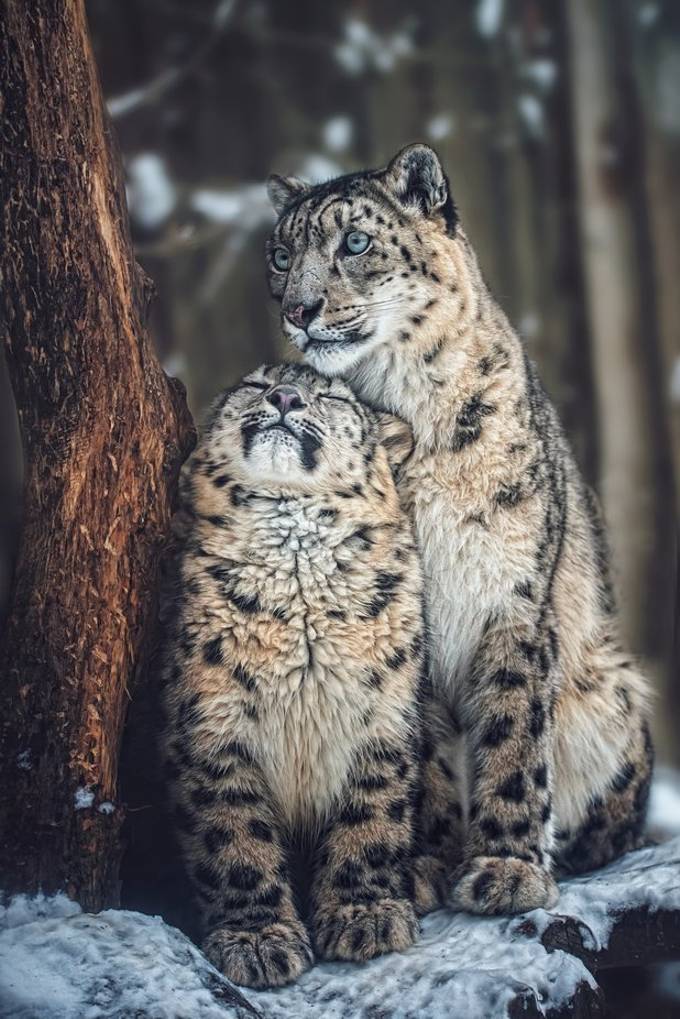 www.viewbug.com