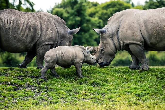 www.viewbug.com