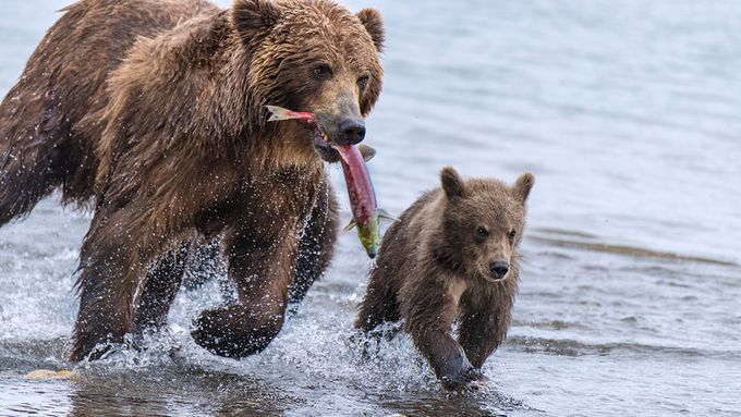 www.viewbug.com