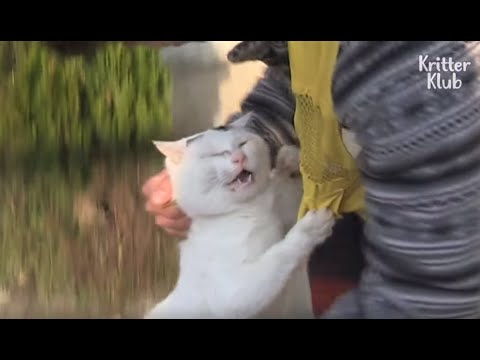 www.youtube.com