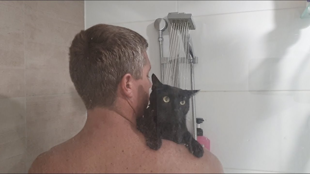 www.youtube.com