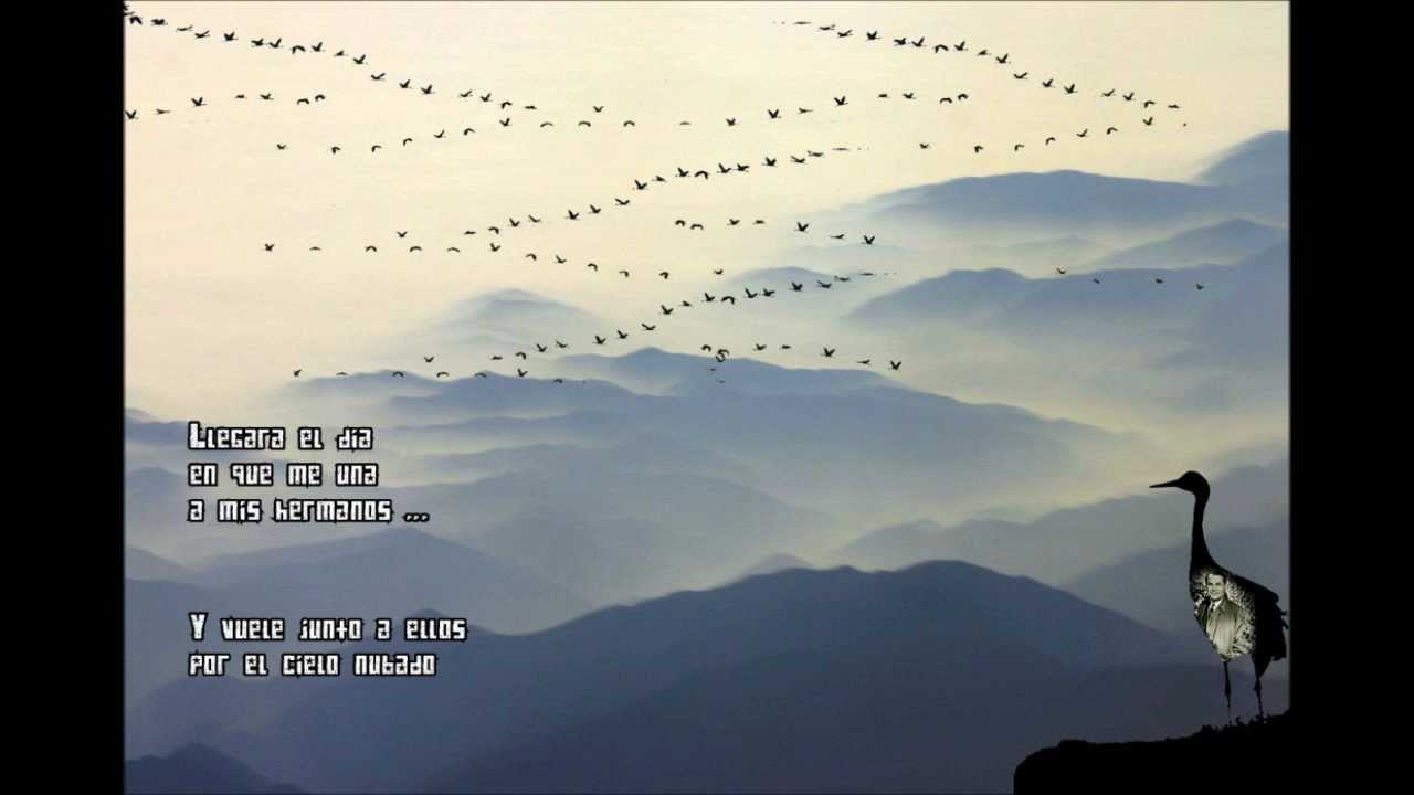 www.youtube.com