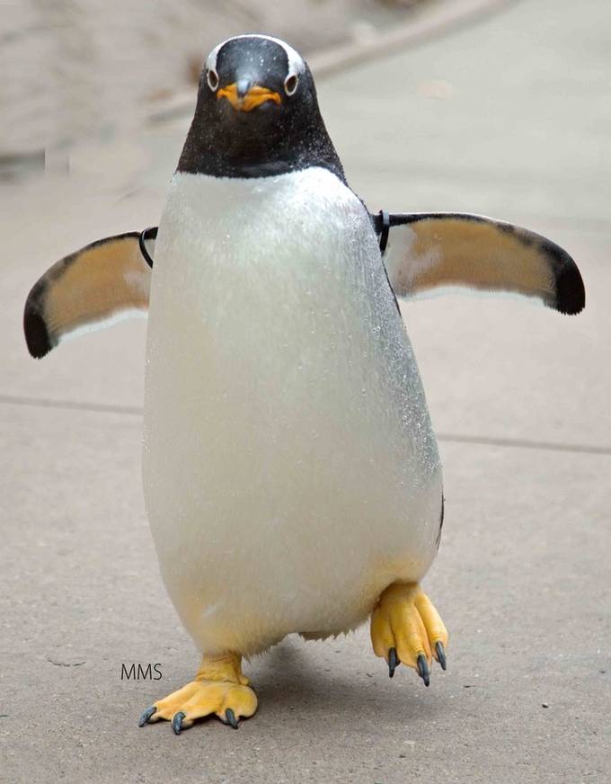 www.viewbug.com