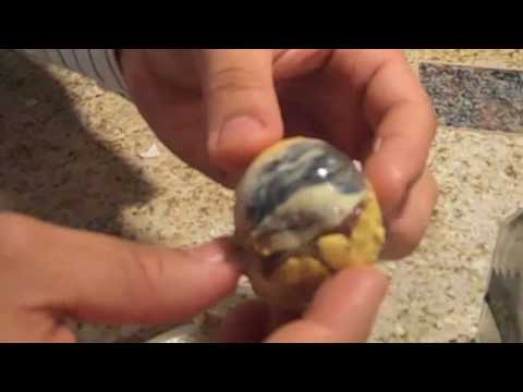 www.youtube.com