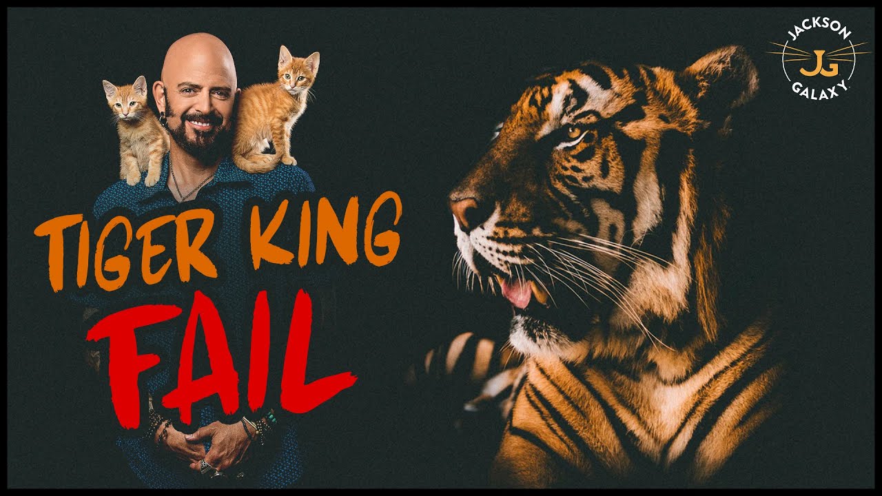 www.youtube.com