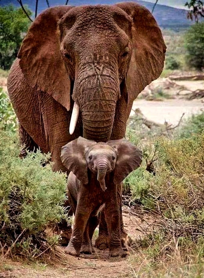 www.viewbug.com