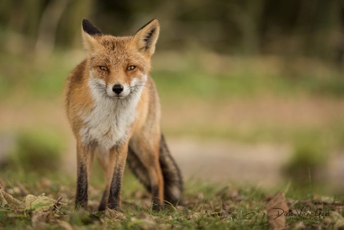 www.viewbug.com