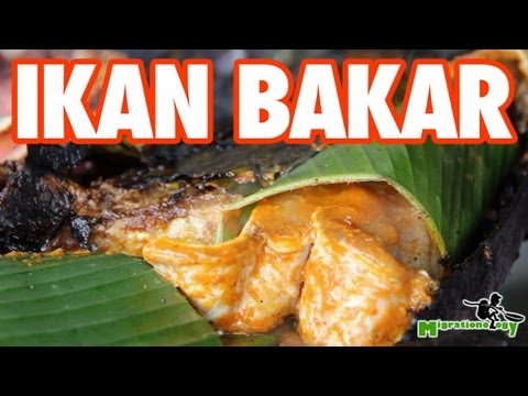 www.youtube.com
