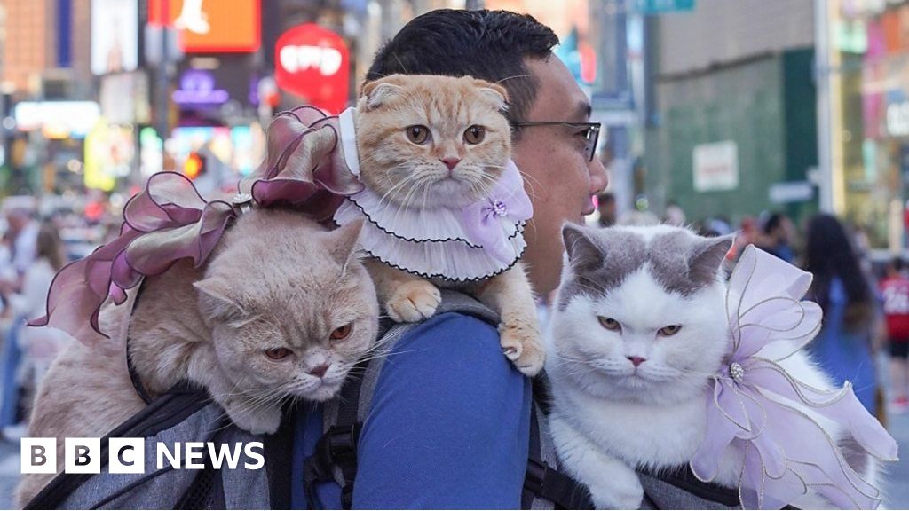 www.bbc.com