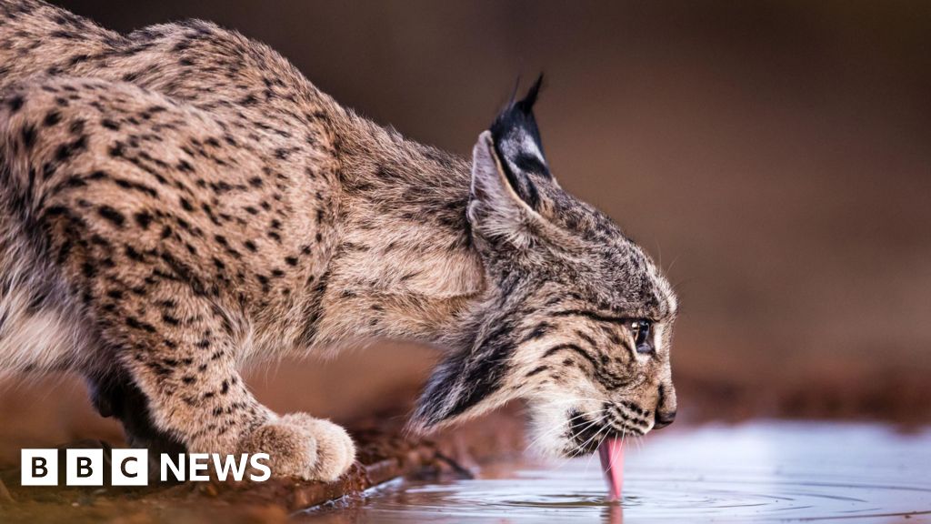 www.bbc.com